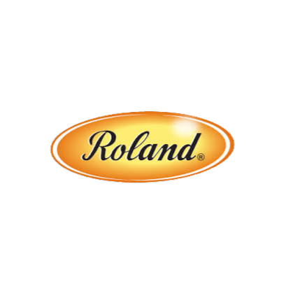 Roland logo, gold oval with black text.